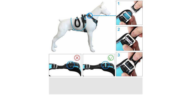Modne niebieskie szelki dla psa Walky Guard, dodające elegancji podczas spacerów