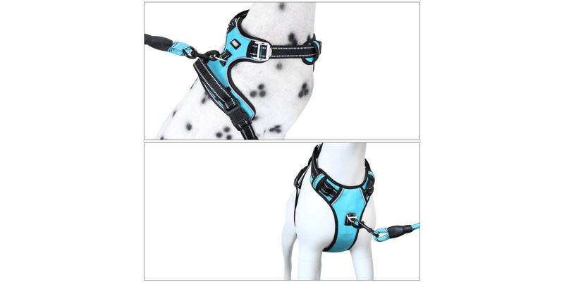 Szelki dla psa Walky Guard w kolorze niebieskim, z dodatkowym uchwytem na smycz