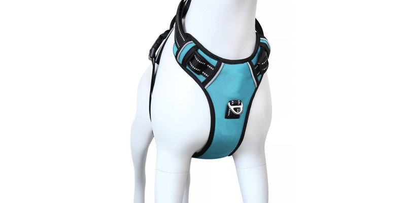 Niebieskie szelki dla psa Walky Guard od HUGGY DOGGY, idealne dla dużych i małych ras