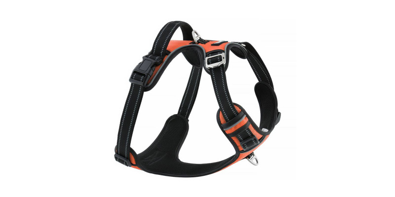 Jaskrawe pomarańczowe szelki dla psów od HUGGY DOGGY, zapewniające widoczność w każdych warunkach