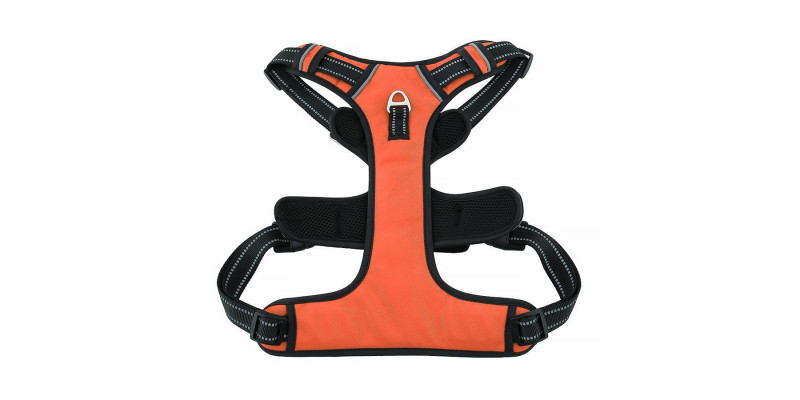 Sportowe pomarańczowe szelki Walky Guard, idealne do aktywności na świeżym powietrzu