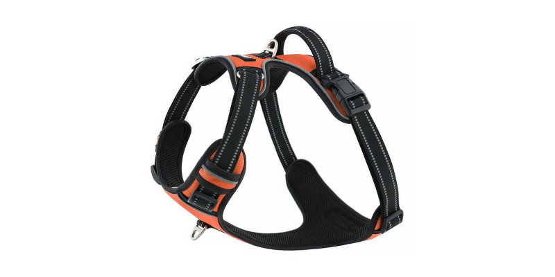 Pomarańczowe szelki Walky Guard z miękkim wyściółkowaniem dla dodatkowego komfortu psa