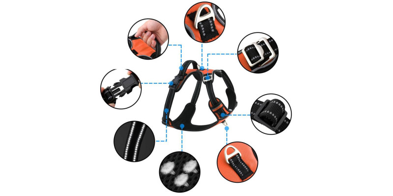 Pomarańczowe szelki od HUGGY DOGGY z regulowanymi paskami dla doskonałego dopasowania