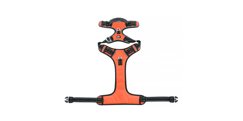 Energetyczne pomarańczowe szelki dla psa, dodające stylu podczas spacerów