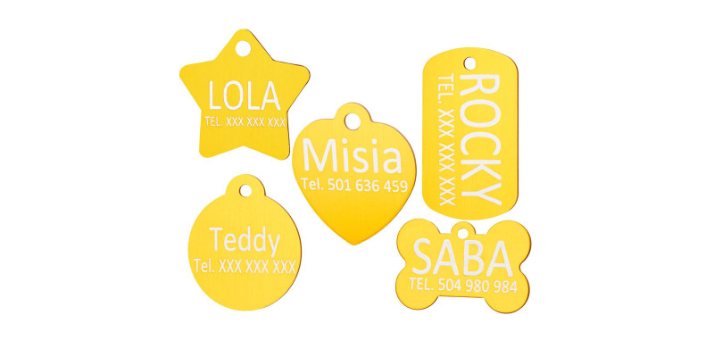 złote zawieszki adresówki dla psów york shih tzu chihuahua labrador owczarek