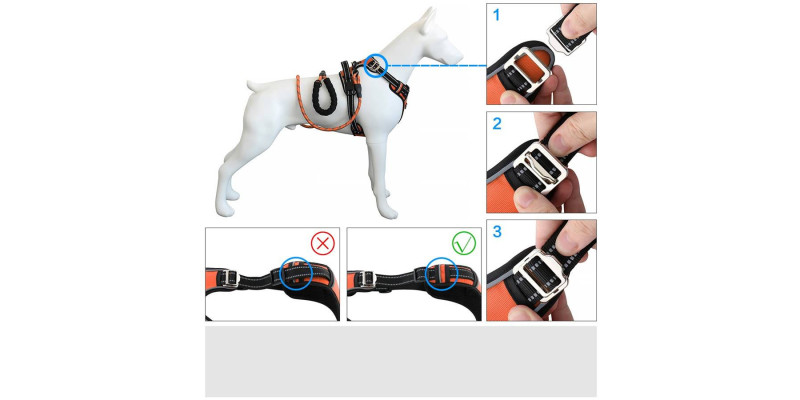 Pomarańczowe szelki Walky Guard od HUGGY DOGGY, idealne dla psów wszystkich wielkości