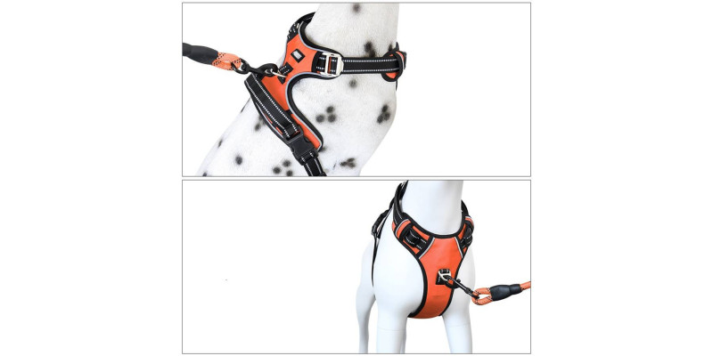 Atrakcyjne pomarańczowe szelki Walky Guard, zapewniające bezpieczeństwo i styl