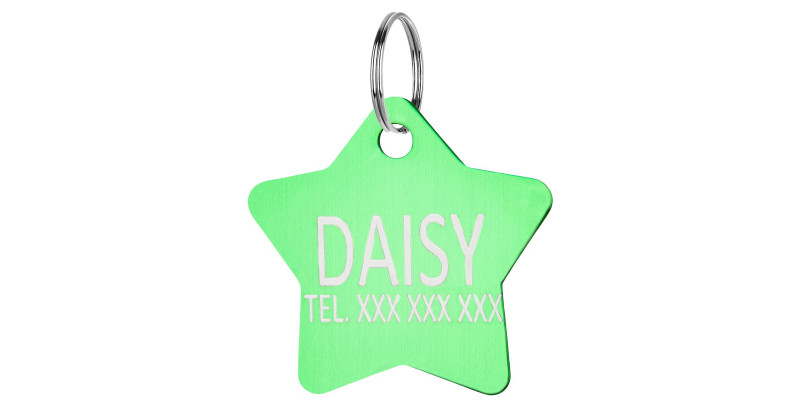 identyfikator do obroży dla psa gwiazdka zielona HUGGY DOGGY