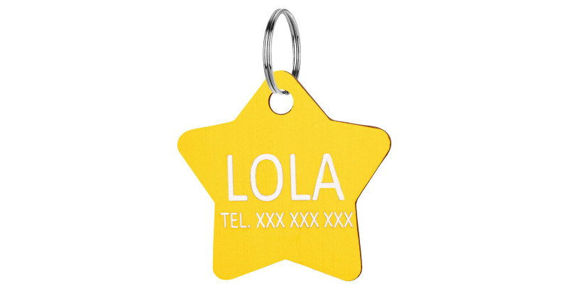 identyfikator do obroży dla psa gwiazdka złota HUGGY DOGGY