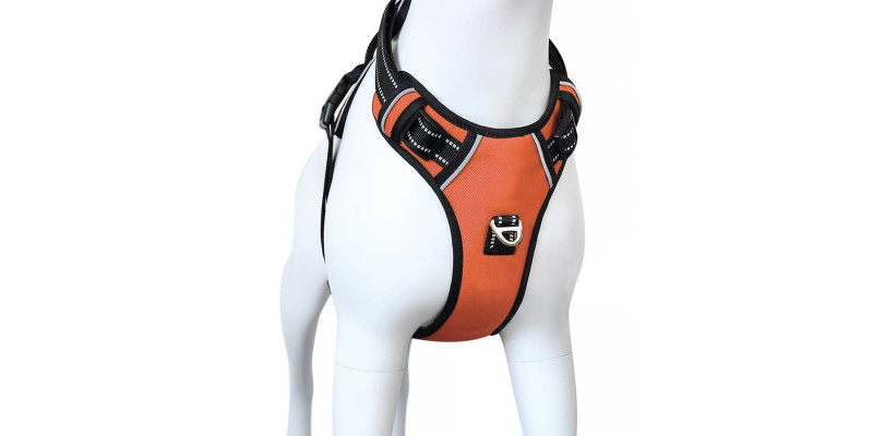 Lekkie pomarańczowe szelki od HUGGY DOGGY, idealne na letnie dni