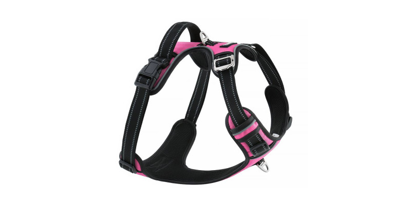 Trwałe różowe szelki Walky Guard od HUGGY DOGGY, idealne dla aktywnych psów