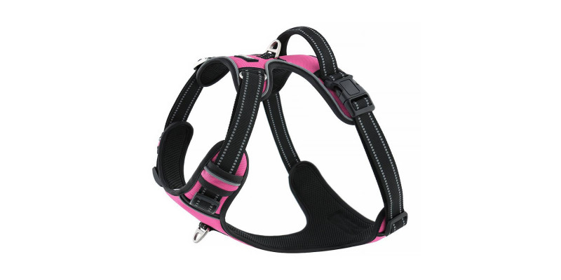 Eleganckie różowe szelki Walky Guard od HUGGY DOGGY, z łatwym systemem zakładania