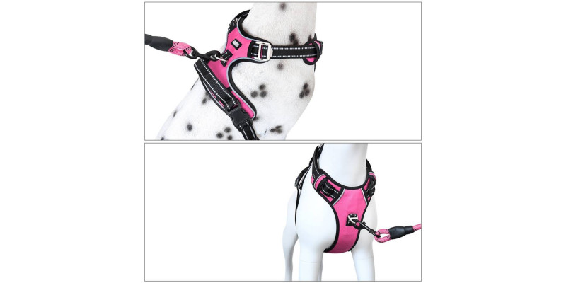 Dopasowane różowe szelki Walky Guard, zaprojektowane z myślą o komforcie i stylu