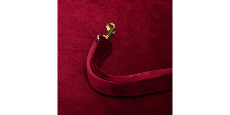 wewnętrzny pas bezpieczeństwa fotelika dla psa samochodowego transportera kolor bordowy marki HUGGY DOGGY model Snug