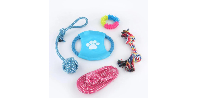 Zestaw 5 zabawek dla psa