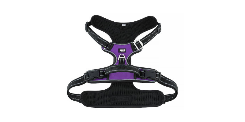 Fioletowe szelki dla psa Walky Guard od HUGGY DOGGY, z wygodnym zapięciem