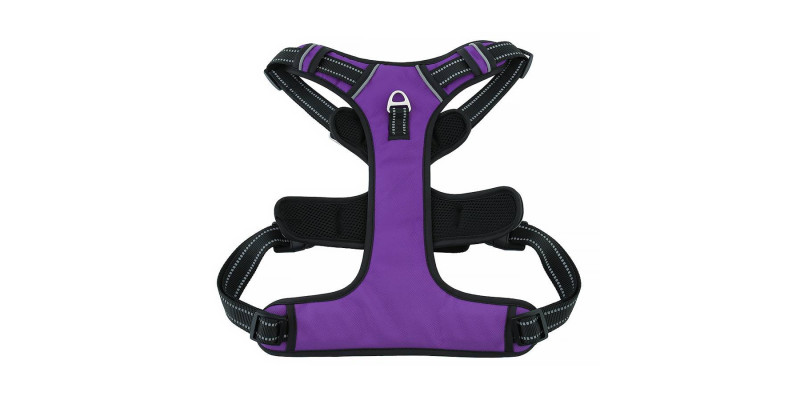 Fioletowe szelki Walky Guard od HUGGY DOGGY z odblaskami, zwiększające bezpieczeństwo w nocy"