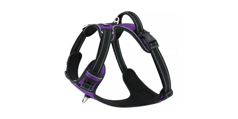 Eleganckie fioletowe szelki Walky Guard od HUGGY DOGGY, z łatwym systemem zakładania