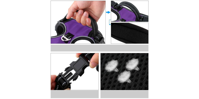 Fioletowe szelki Walky Guard od HUGGY DOGGY z funkcją Easy Walk, zapobiegające ciągnięciu