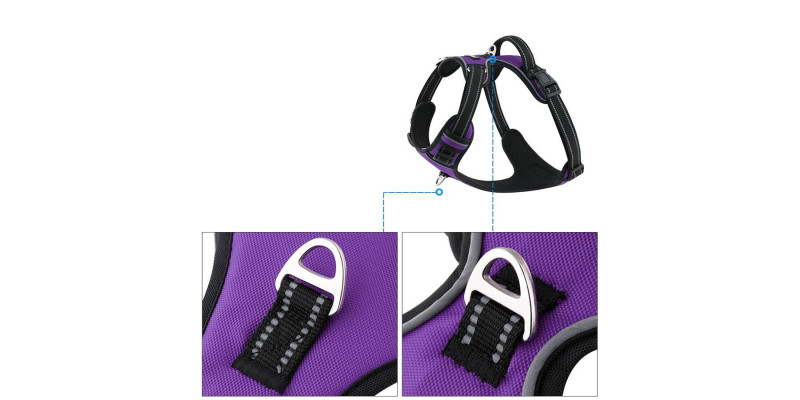 Komfortowe fioletowe szelki dla psa Walky Guard od HUGGY DOGGY, dla średnich i dużych ras