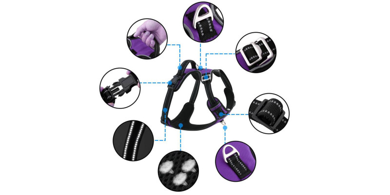 Szelki Walky Guard w kolorze fioletowym od HUGGY DOGGY, idealne na trening i spacery