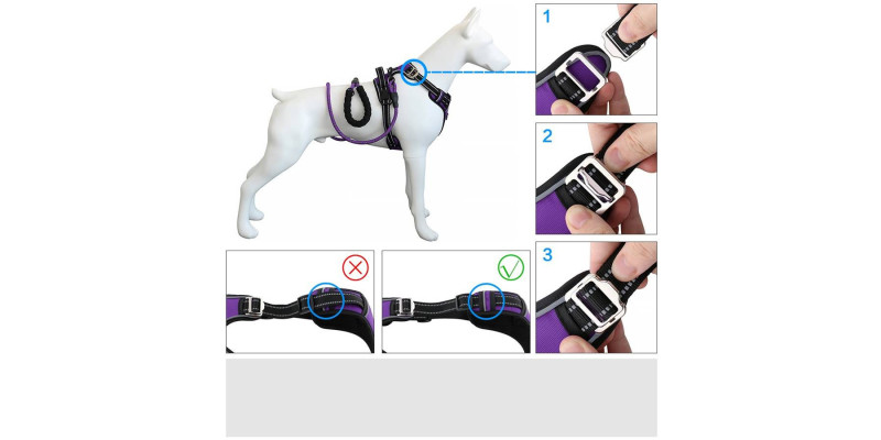 Fioletowe szelki Walky Guard od HUGGY DOGGY, z szerokimi możliwościami regulacji