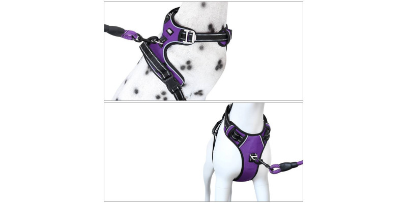 Fioletowe szelki Walky Guard od HUGGY DOGGY, idealne do nauki chodzenia na smyczy