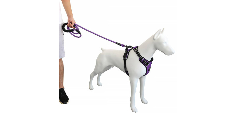 Wytrzymałe i bezpieczne fioletowe szelki Walky Guard od HUGGY DOGGY, dla każdego psa