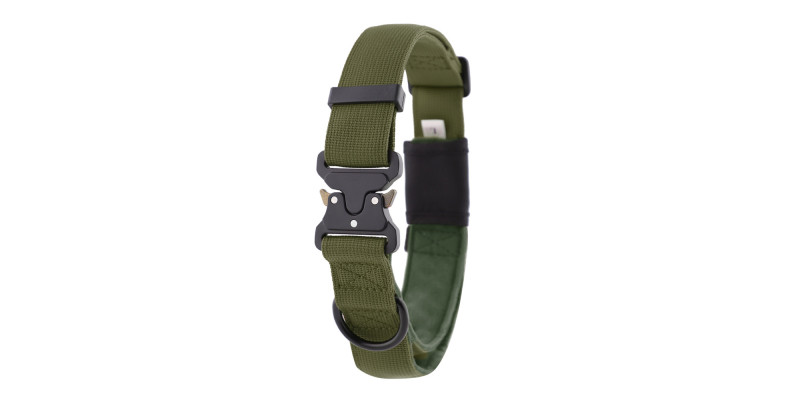 Szeroka obroża w pionie Alpha zielona