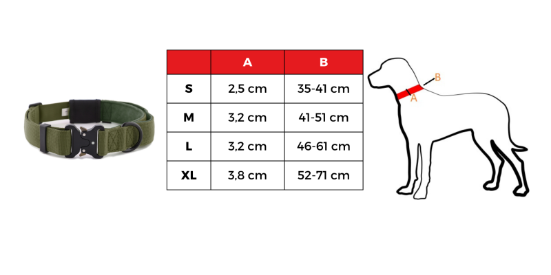 Obroża szeroka HUGGY DOGGY Alpha zielona – moc i wygoda