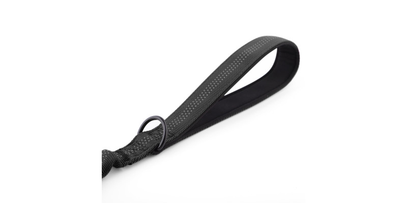 Uchwyt smyczy z amortyzatorem alpha