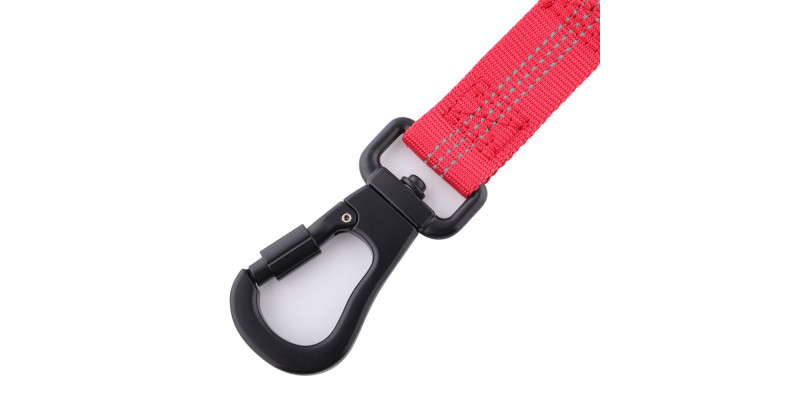 Karabińczyk typu twist-lock