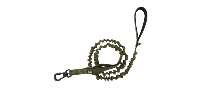 Smycz z amortyzatorem Alpha zielona– mocna i stylowa | HUGGY DOGGY