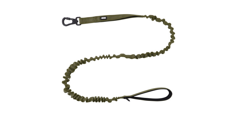 Smycz z amortyzatorem Alpha zielona– mocna i stylowa | HUGGY DOGGY