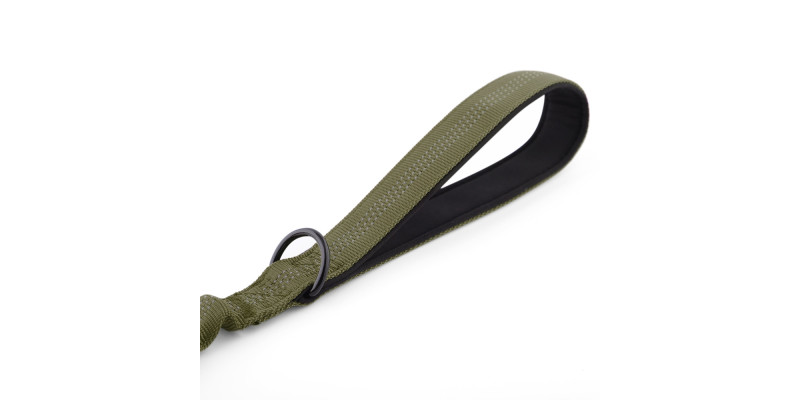 Uchwyt smyczy z amortyzatorem zielony