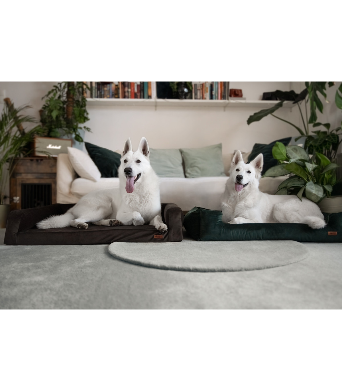 Legowisko ortopedyczne welurowe HUGGY DOGGY Harmony turkusowe