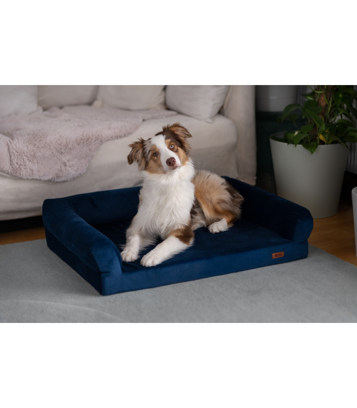 Legowisko ortopedyczne welurowe HUGGY DOGGY Harmony turkusowe