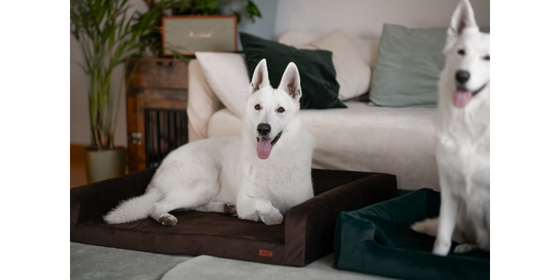 Legowisko ortopedyczne welurowe HUGGY DOGGY Harmony turkusowe