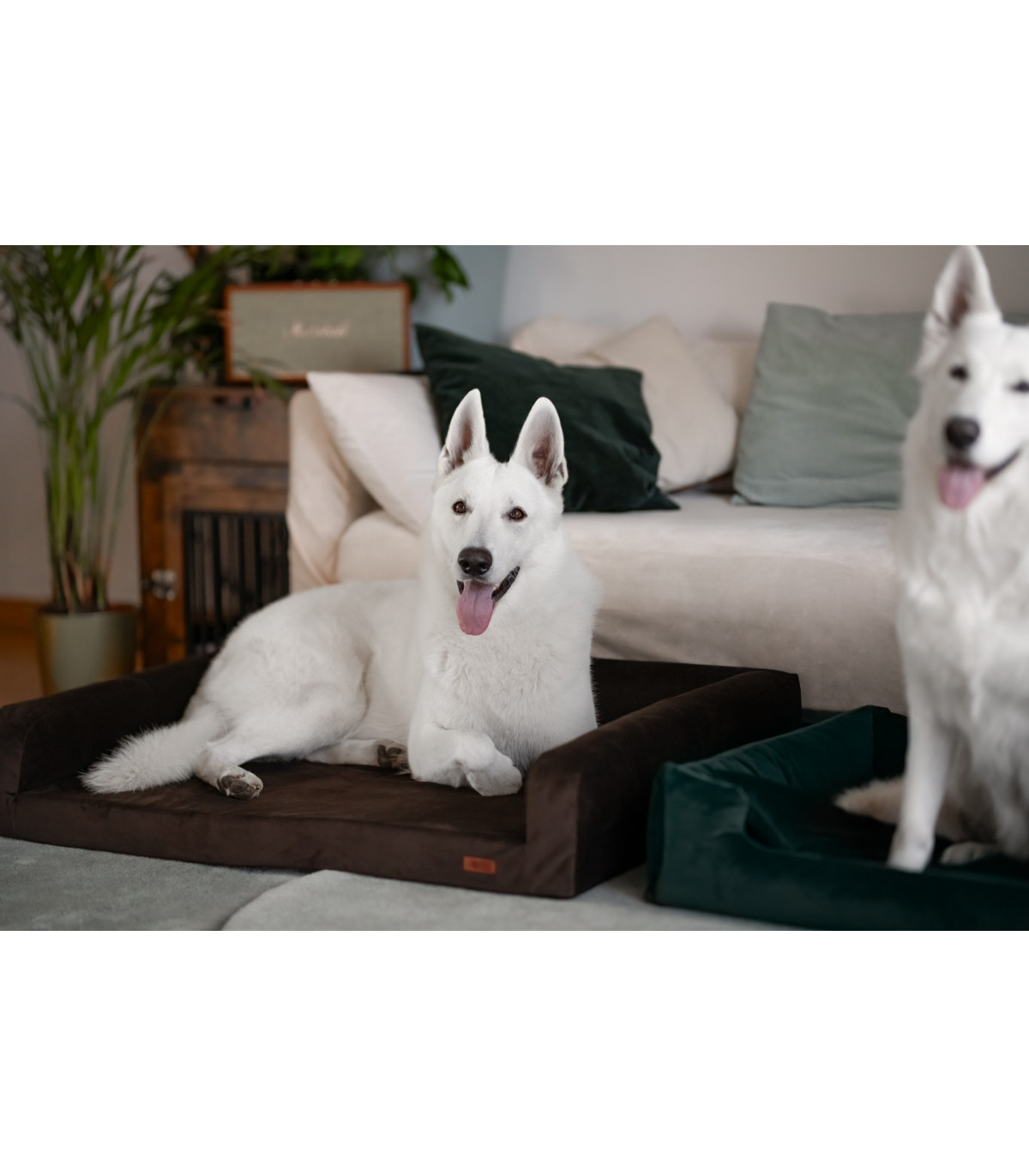 Legowisko ortopedyczne welurowe HUGGY DOGGY Harmony turkusowe