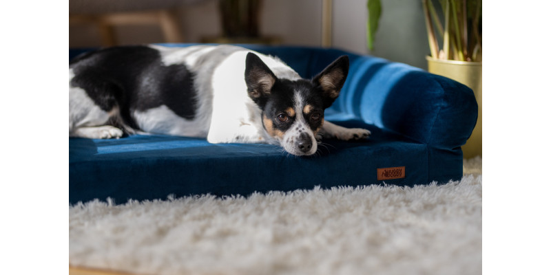 Legowisko ortopedyczne welurowe HUGGY DOGGY Harmony turkusowe