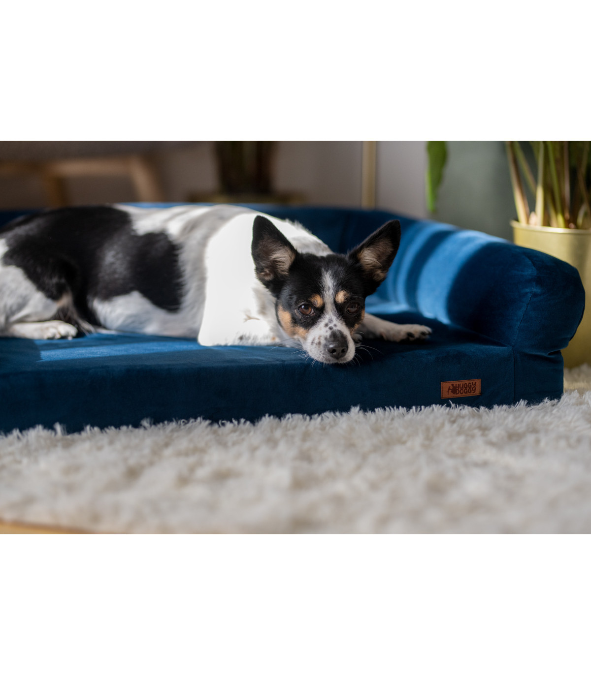 Legowisko ortopedyczne welurowe HUGGY DOGGY Harmony turkusowe