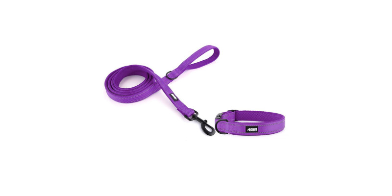 elegancki zestaw obroży i smyczy w kolorze fioletowym z kolekcji Walky marki HUGGY DOGGY, łącząca trwałość z modnym designem