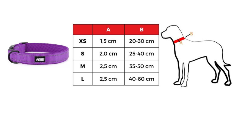Tabela rozmiarów dla fioletowej obroży dla psa model Walky od HUGGY DOGGY, dostępna dla rozmiarów XS, S, M, L