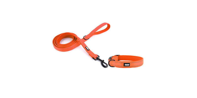 Zestaw obroża i smycz Walky marki HUGGY DOGGY w odcieniu pomarańczowym, łącząca komfort z modnym designem