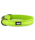 Zielona obroża Walky od HUGGY DOGGY dla psów, z odblaskowymi elementami dla lepszej widoczności