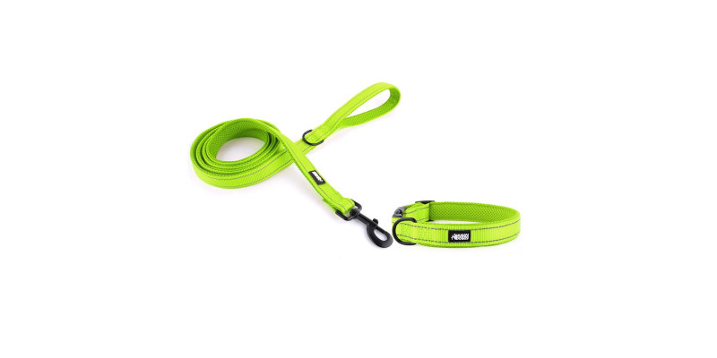 zestaw z kolekcji Walky obroża i smycz w kolorze zielonkowatym z mocnymi zapięciami od HUGGY DOGGY