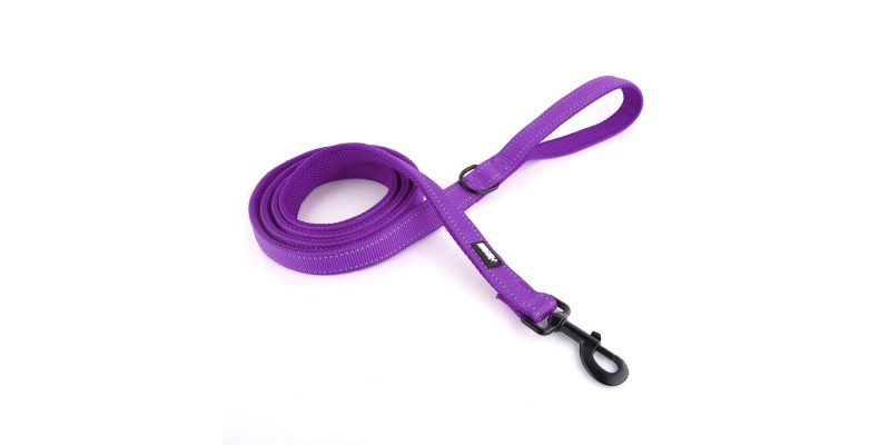 Fioletowa smycz dla psa HUGGY DOGGY Walky, 2-metrowa długość