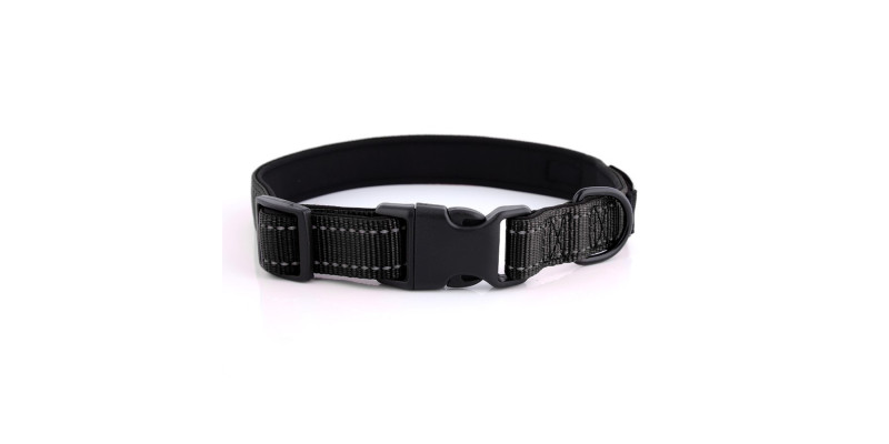 Obroża z imieniem HUGGY DOGGY Daily w kolorze czarnym z odblaskowymi pasami dla lepszej widoczności w nocy