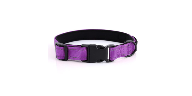 Fioletowa obroża model Daily od HUGGY DOGGY z grawerowanymi detalami, łącząca styl z funkcjonalnością