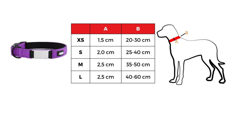 Tabela rozmiarów dla fioletowej obroży dla psów z imieniem i numerem od HUGGY DOGGY model Daily rozmiary XS S M L